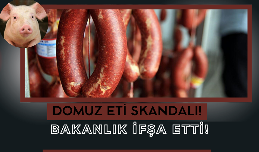 Domuz Eti Skandalı! Bakanlık İfşa Etti!