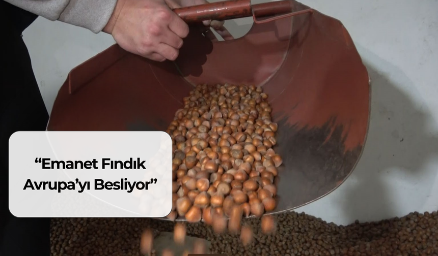 “Emanet Fındık Avrupa’yı Besliyor”