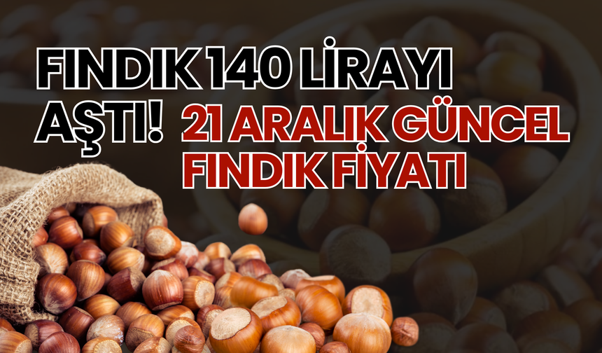 Fındık 140 Lirayı Aştı! 21 Aralık Güncel Fındık Fiyatı