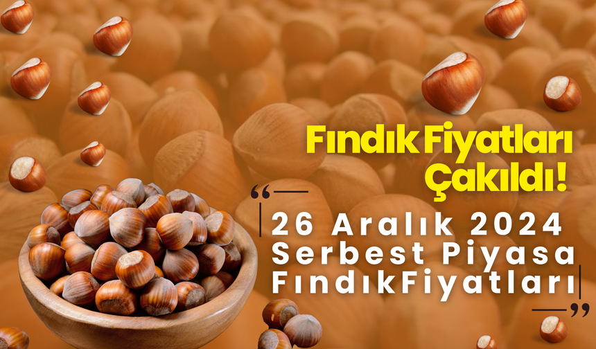 Fındık Fiyatları Değişti! 26 Aralık 2024 Serbest Piyasa Fındık Fiyatları