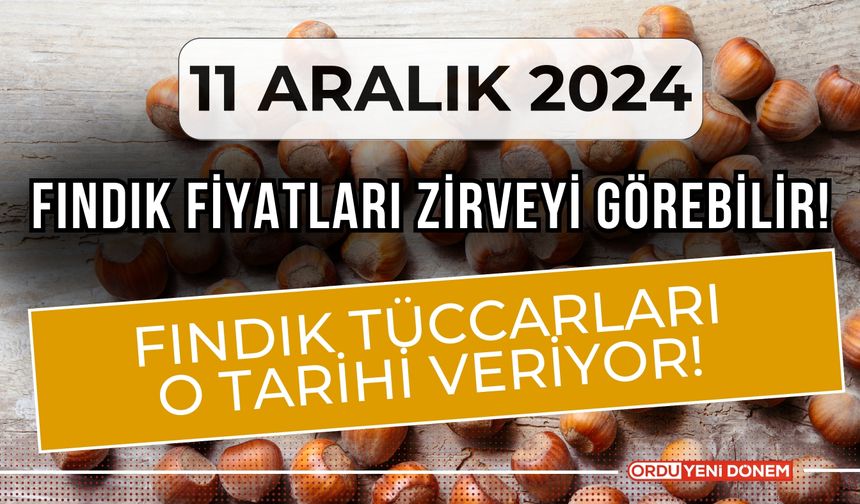 Fındık Fiyatları Zirveyi Görebilir! Fındık Tüccarları O Tarihi Veriyor! 11 Aralık Güncel Fındık Fiyatları…