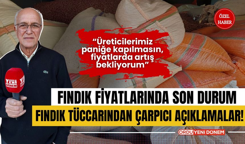 Fındık Fiyatlarında Son Durum: Fındık Tüccarından Çarpıcı Açıklamalar!