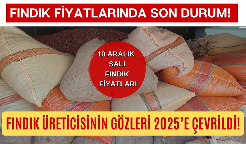 Fındık Fiyatlarında Son Durum! Fındık Üreticisinin Gözleri 2025’e Çevrildi!