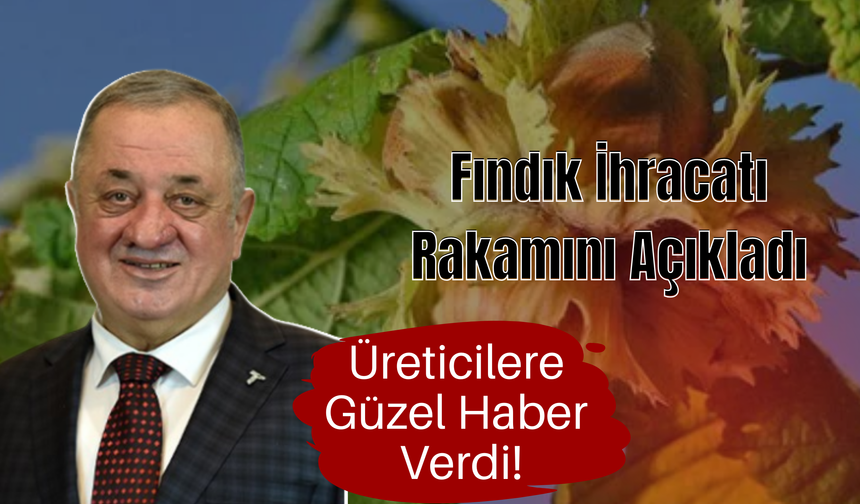 Fındık İhracatı Rakamını Açıkladı, Üreticilere Güzel Haber Verdi!