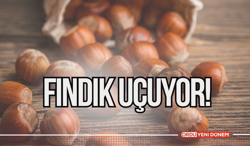 Fındıkta Tarihi Başarı! Dünya Fındık Pazarında Lider Türkiye!