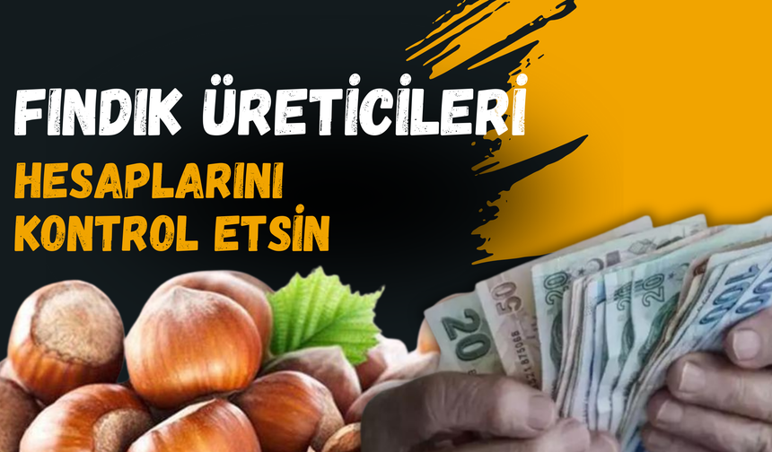 Fındık Üreticileri Hesaplarını Kontrol Etsin