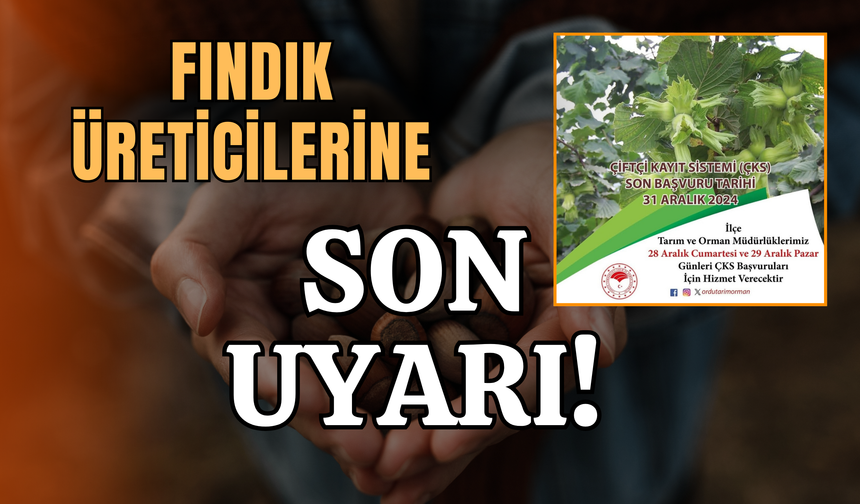 Fındık Üreticilerine Son Uyarı!