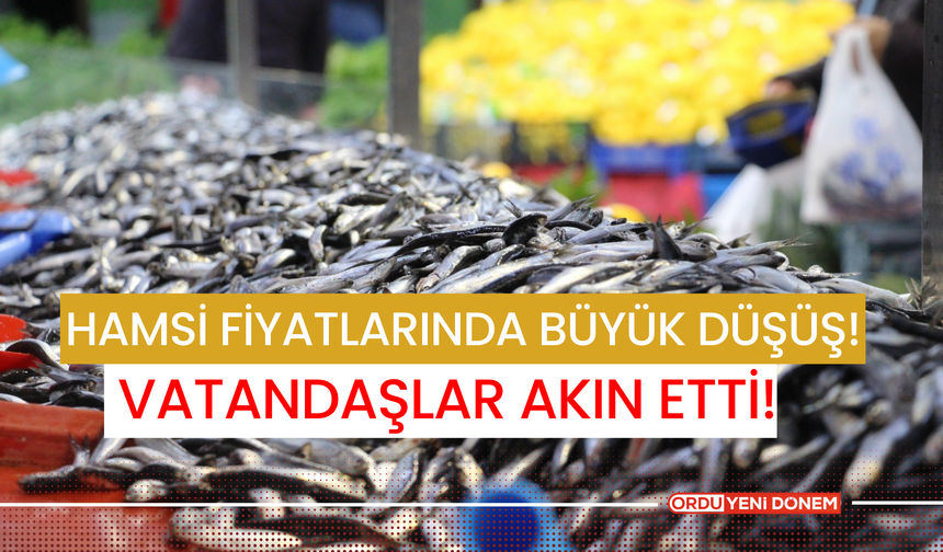 Hamsi Fiyatlarında Büyük Düşüş! Vatandaşlar Akın Etti!