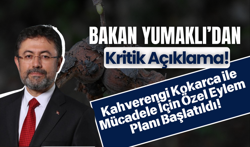 Bakan Yumaklı’dan Kritik Açıklama: Kahverengi Kokarca ile Mücadele İçin Özel Eylem Planı Başlatıldı!