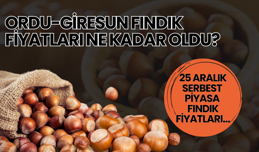 Ordu-Giresun Fındık Fiyatları Ne Kadar Oldu? 25 Aralık Serbest Piyasa Fındık Fiyatları…