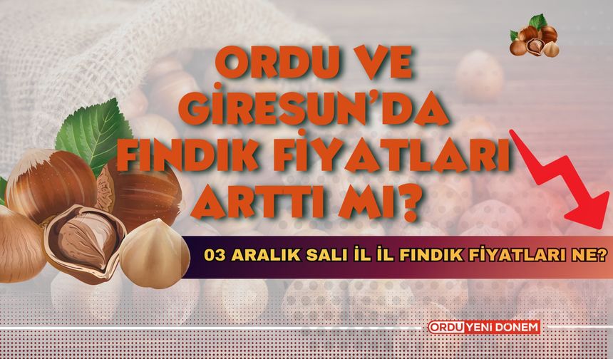 Ordu Ve Giresun’da Fındık Fiyatları Arttı Mı? 03 Aralık Salı İl İl Fındık Fiyatları Ne?