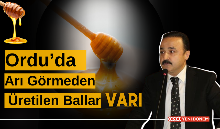 Ordu’da Arı Görmeden Üretilen Ballar Var!