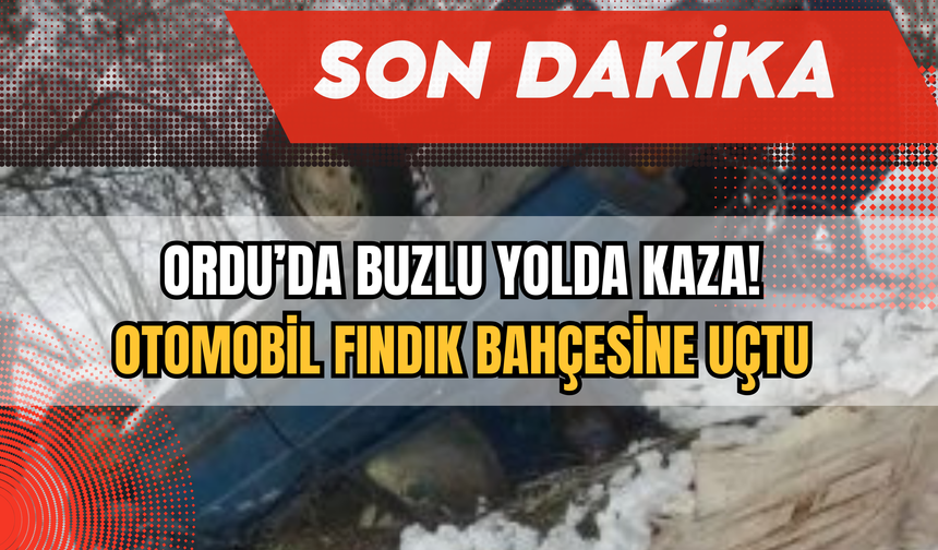 Ordu'da Buzlu Yolda Kaza! Otomobil Fındık Bahçesine Uçtu!