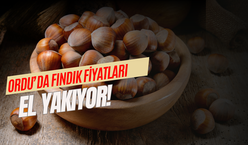 Ordu’da Fındığın Fiskobirlik Fiyatı Düşük, Marketin Fiyatı Uçuk!