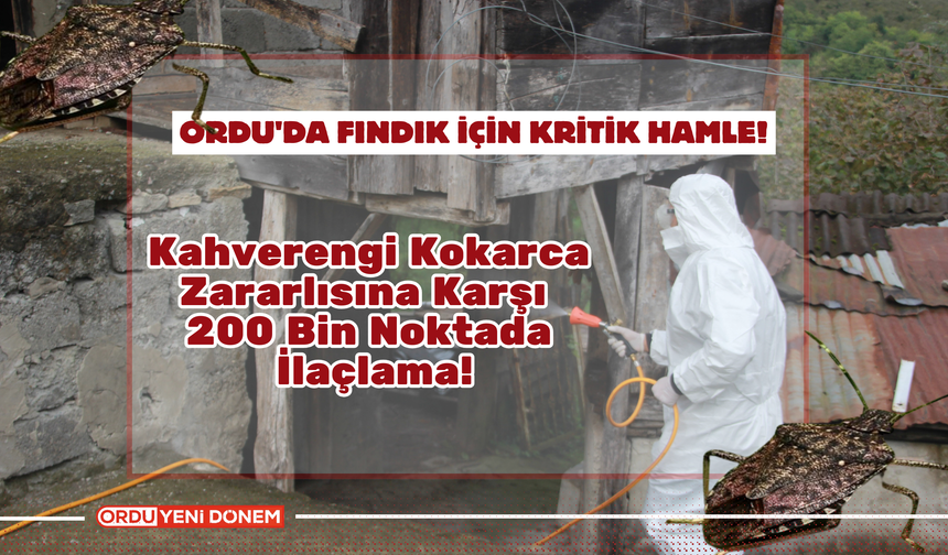 Ordu'da Fındık İçin Kritik Hamle! Kahverengi Kokarca Zararlısına Karşı 200 Bin Noktada İlaçlama!