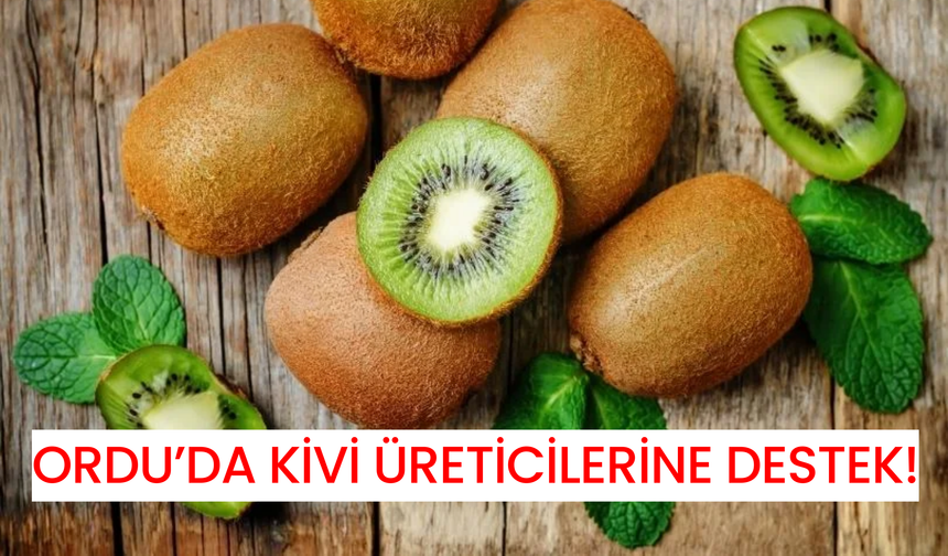 Ordu’da Kivi Üreticilerine Destek!