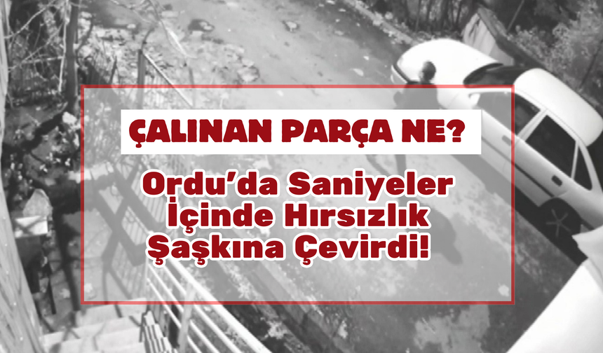 Ordu’da Saniyeler İçinde Hırsızlık Şaşkına Çevirdi!  Çalınan Parça Ne? İşte O Görüntüler…