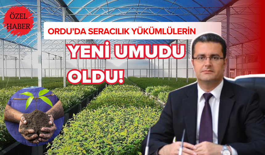 Ordu’da Seracılık Yükümlülerin Yeni Umudu Oldu!