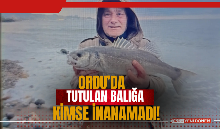 Ordu’da Tutulan Balığa Kimse İnanamadı!