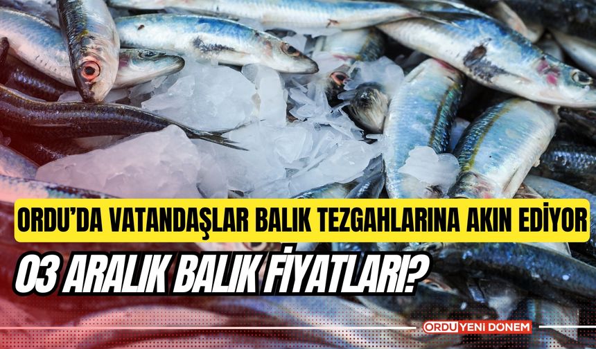 Ordu’da Vatandaşlar Balık Tezgahlarına Akın Ediyor: 03 Aralık Balık Fiyatları?