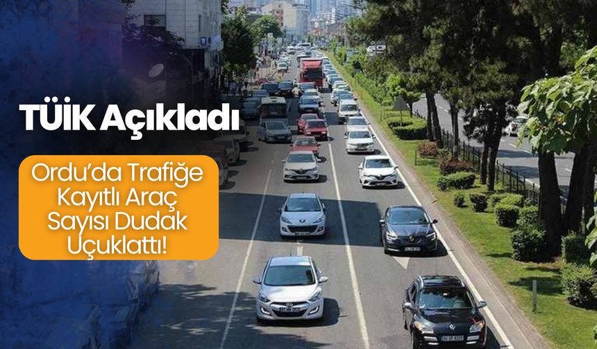 TÜİK Açıkladı: Ordu’da Trafiğe Kayıtlı Araç Sayısı Dudak Uçuklattı!