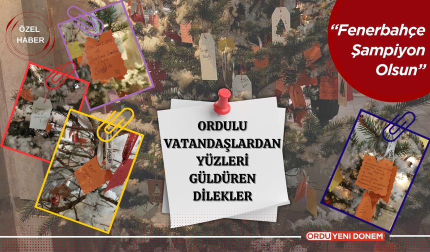 Ordulu Vatandaşlar, Yeni Yıl Dileklerini Ağaçlara Astı; Bazı Notlar İse Yüzleri Güldürdü