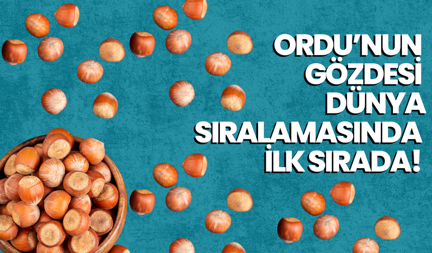 Ordu’nun Gözdesi Dünya Sıralamasında İlk Sırada!