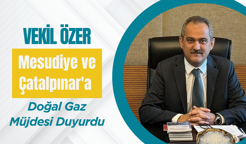 Vekil Özer, Mesudiye ve Çatalpınar'a Doğal Gaz Müjdesi Duyurdu