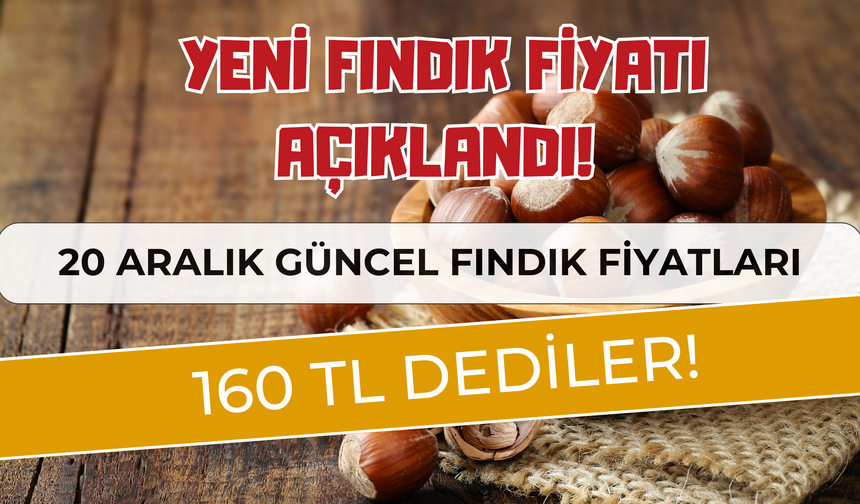 Yeni Fındık Fiyatı Açıklandı! 160 TL Dediler! 20 Aralık Güncel Fındık Fiyatları