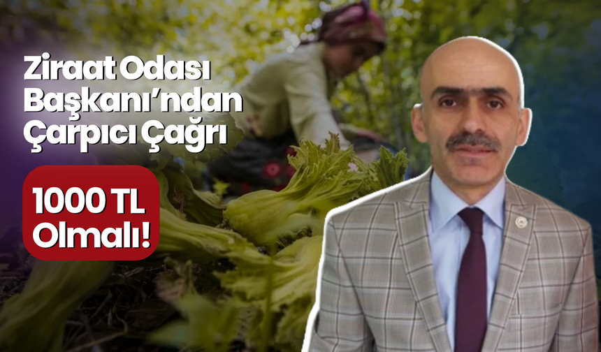 Ziraat Odası Başkanı’ndan Fındık İçin Çarpıcı Çağrı:1000 TL Olmalı!