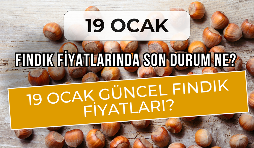 Fındık Fiyatlarında Son Durum Ne? 19 Ocak Güncel Fındık Fiyatları?