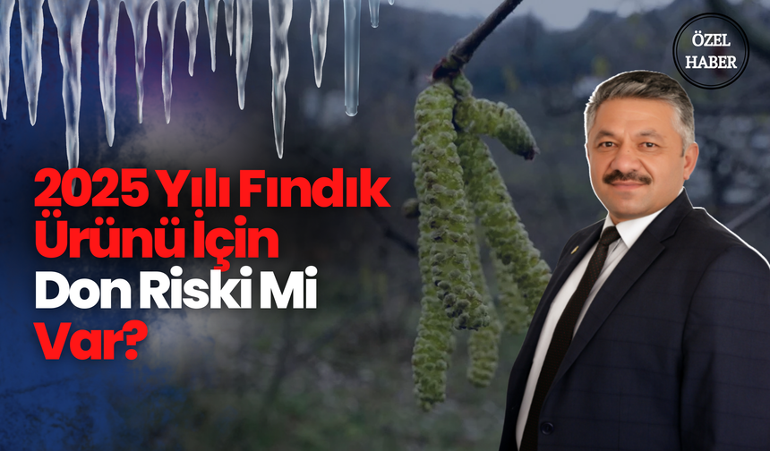 2025 Yılı Fındık Ürünü İçin Don Riski Mi Var?