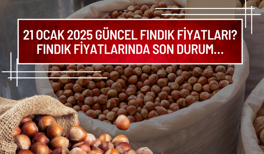 21 Ocak 2025 Güncel Fındık Fiyatları? Fındık Fiyatlarında Son Durum…