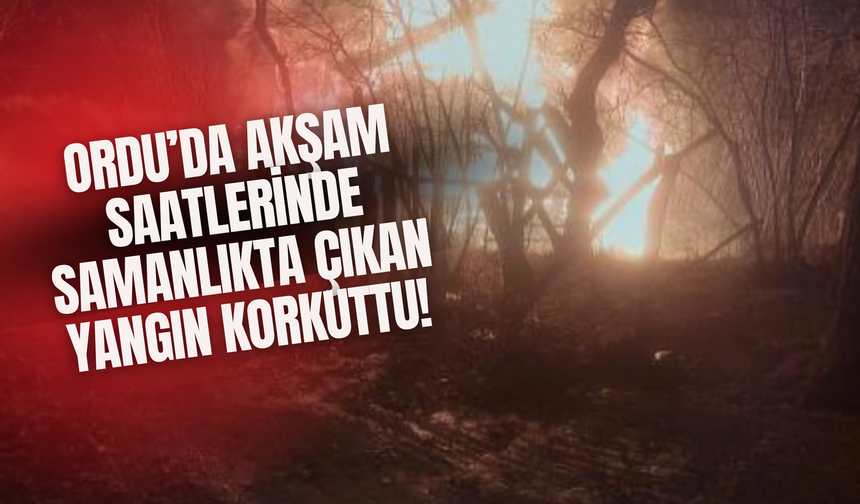 Ordu'da Akşam Saatlerinde Samanlıkta Çıkan Yangın Korkuttu!