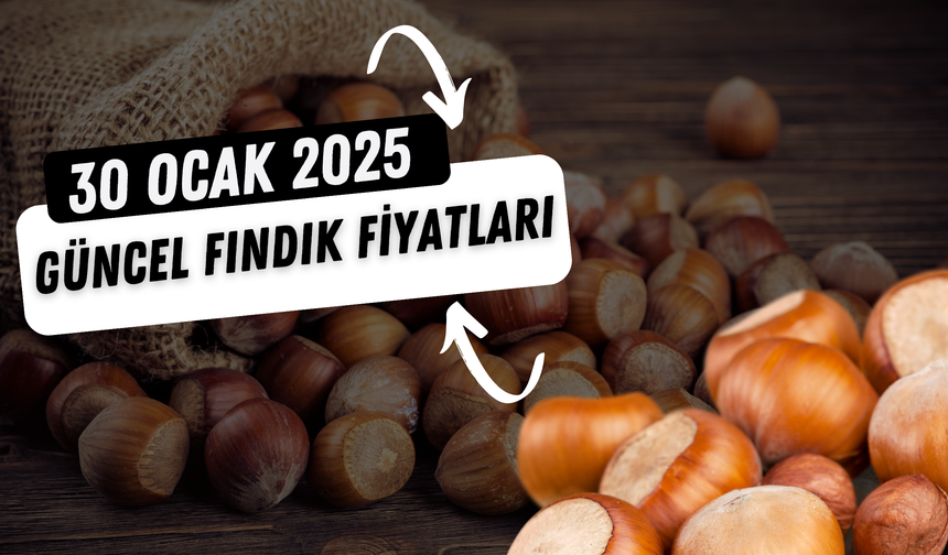 30 Ocak 2025 Güncel Fındık Fiyatları: Ordu, Giresun ve Samsun’da Son Durum