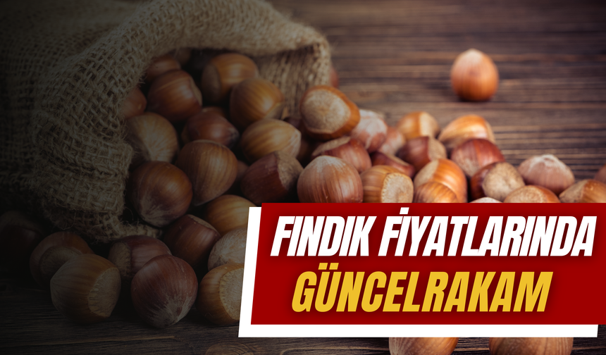 31 Ocak 2025 Fındık Fiyatları: Ordu’da Fındık Bugün Ne Kadar?