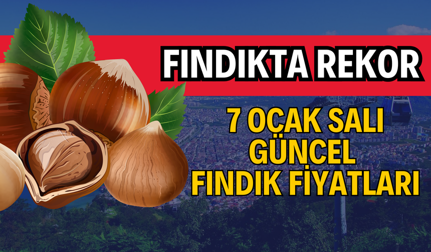 Fındıkta Neler Oluyor! 7 Ocak Güncel Fındık Fiyatları….