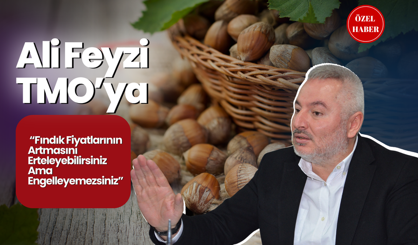 Ali Feyzi, TMO’ya; “Fındık Fiyatlarının Artmasını Erteleyebilirsiniz Ama Engelleyemezsiniz”