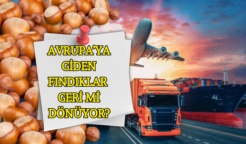 Avrupa’dan Fındıklar Geri Mi Dönüyor?