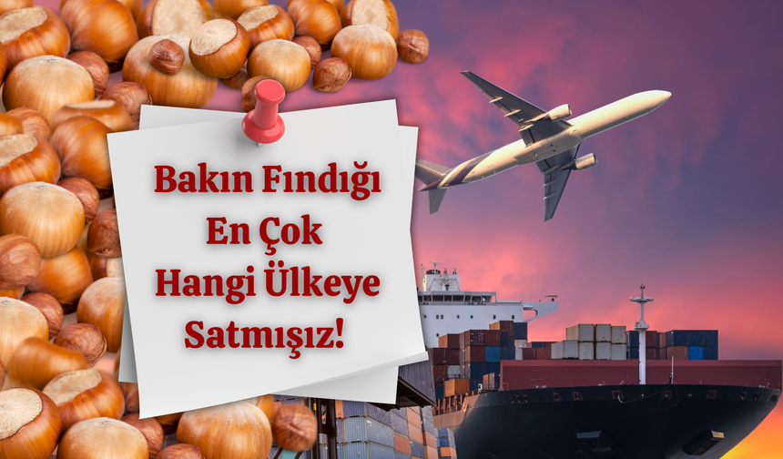 Bakın Fındığı En Çok Hangi Ülkeye Satmışız!