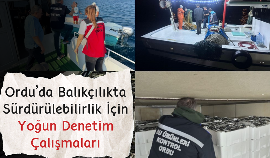 Ordu’da Balıkçılıkta Sürdürülebilirlik İçin Yoğun Denetim Çalışmaları