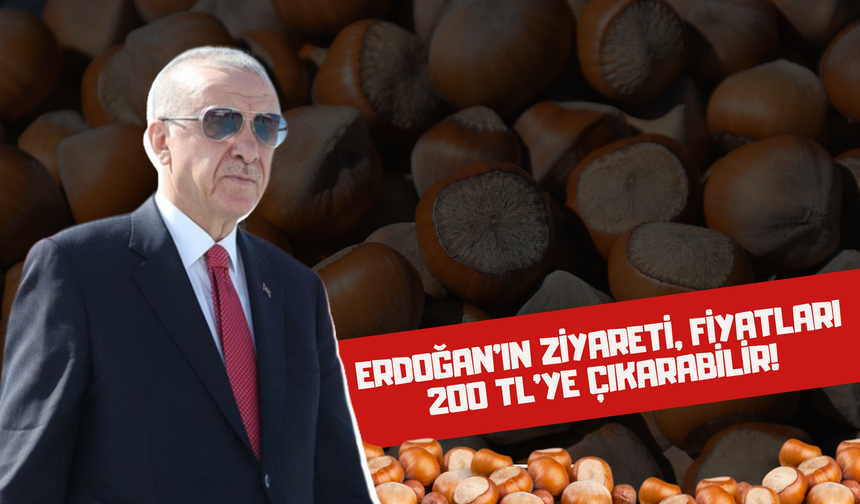 Erdoğan'ın Ziyareti,  Fındık Fiyatlarını 200 TL'ye Çıkarabilir!