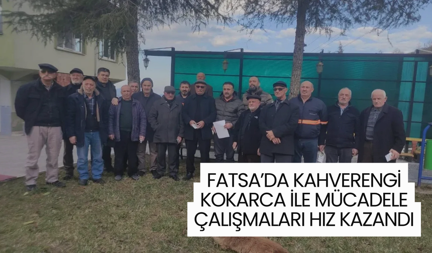 Fatsa’da Kahverengi Kokarca ile Mücadele Çalışmaları Hız Kazandı