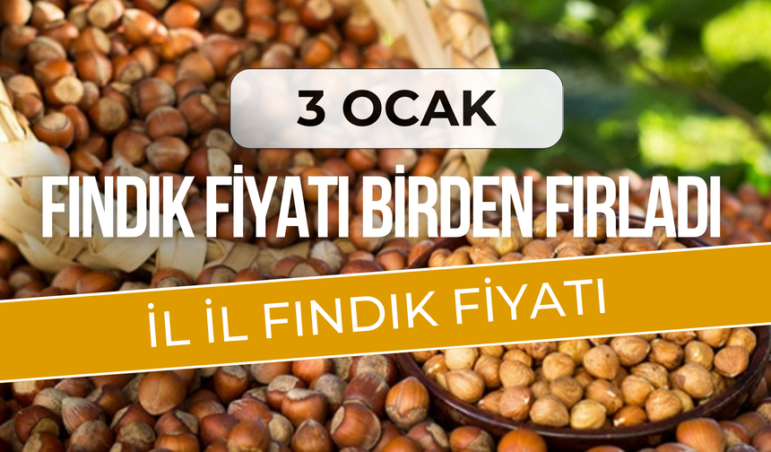 Fındık Fiyatı Arttı! 3 Ocak Serbest Piyasada İl İl Fındık Fiyatları!