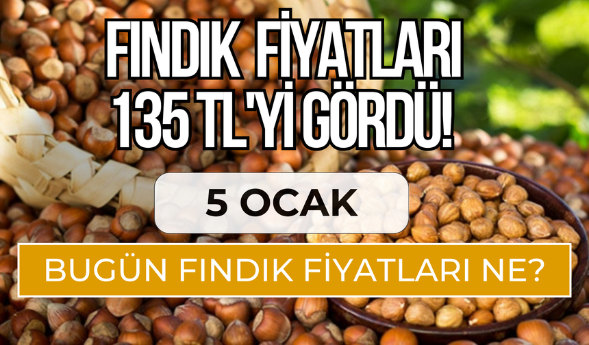 Fındık Üreticisine Müjde: Fiyatlar 135 TL'yi Gördü!