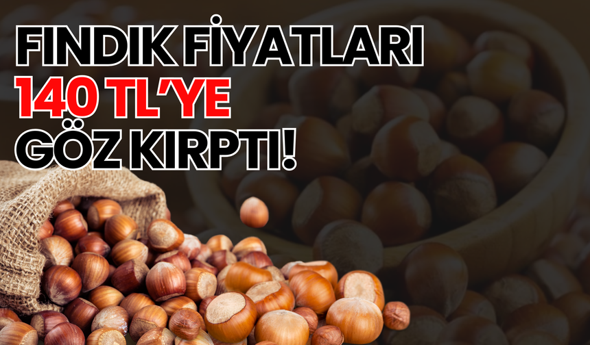 Fındık Fiyatları 140 TL’ye Göz Kırptı! 13 Ocak Fındık Fiyatları...