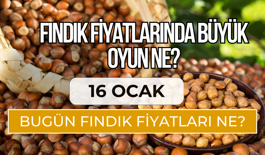 Fındıkta Son Durum! Serbest Piyasada 16 Ocak Fındık Fiyatları…