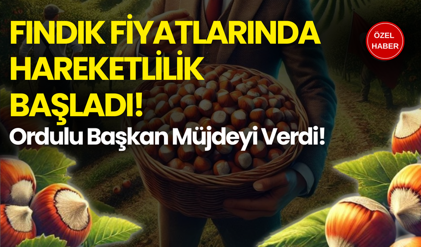 Fındık Fiyatlarında Hareketlilik Başladı! Ordulu Başkan Müjdeyi Verdi!