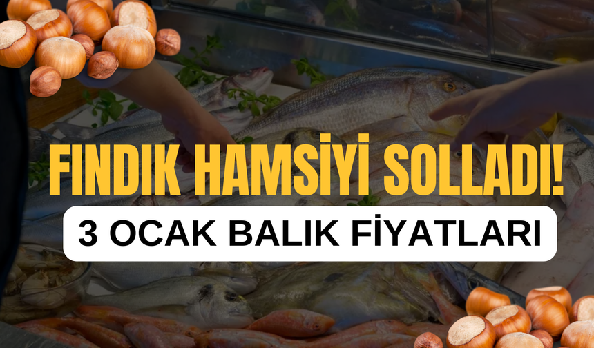 Fındık Hamsiyi Solladı!