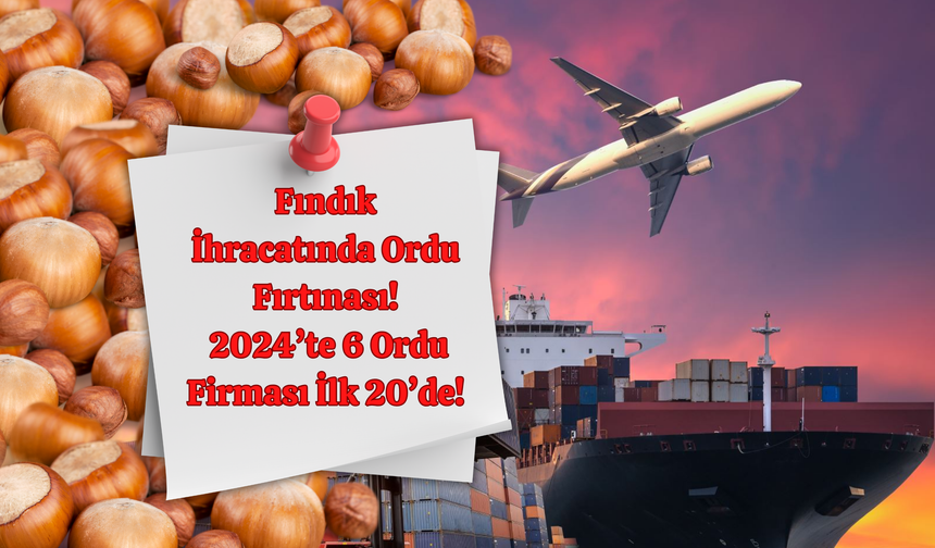 Fındık İhracatında Ordu Fırtınası: 2024’te 6 Ordu Firması İlk 20’de!